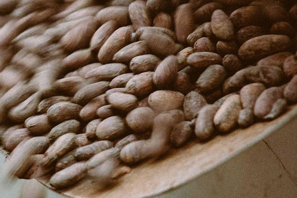 Naš stav o Fair Tradeu