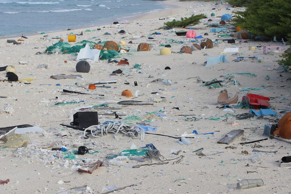 Zašto se recikliranjem neće riješiti problem onečišćenja plastikom