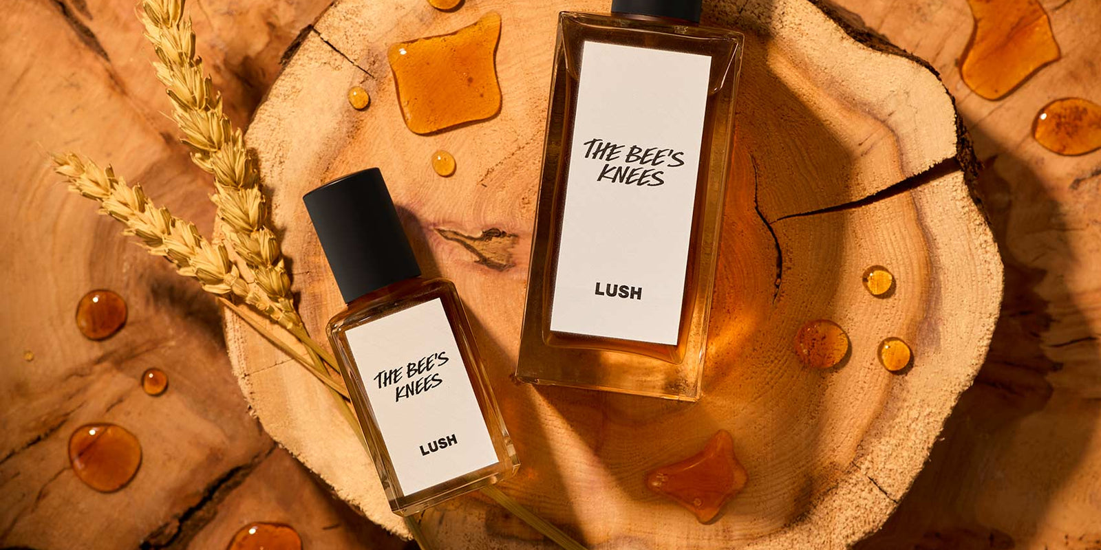 Sastojak koji potiče bioraznolikost u Brazilu