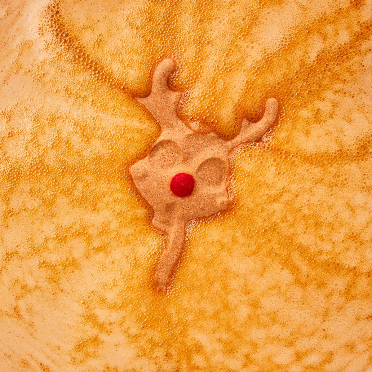 Reindeer