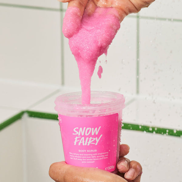 Snow Fairy