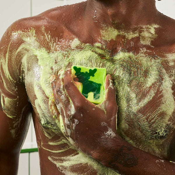 The Most Famous Reindeer of All