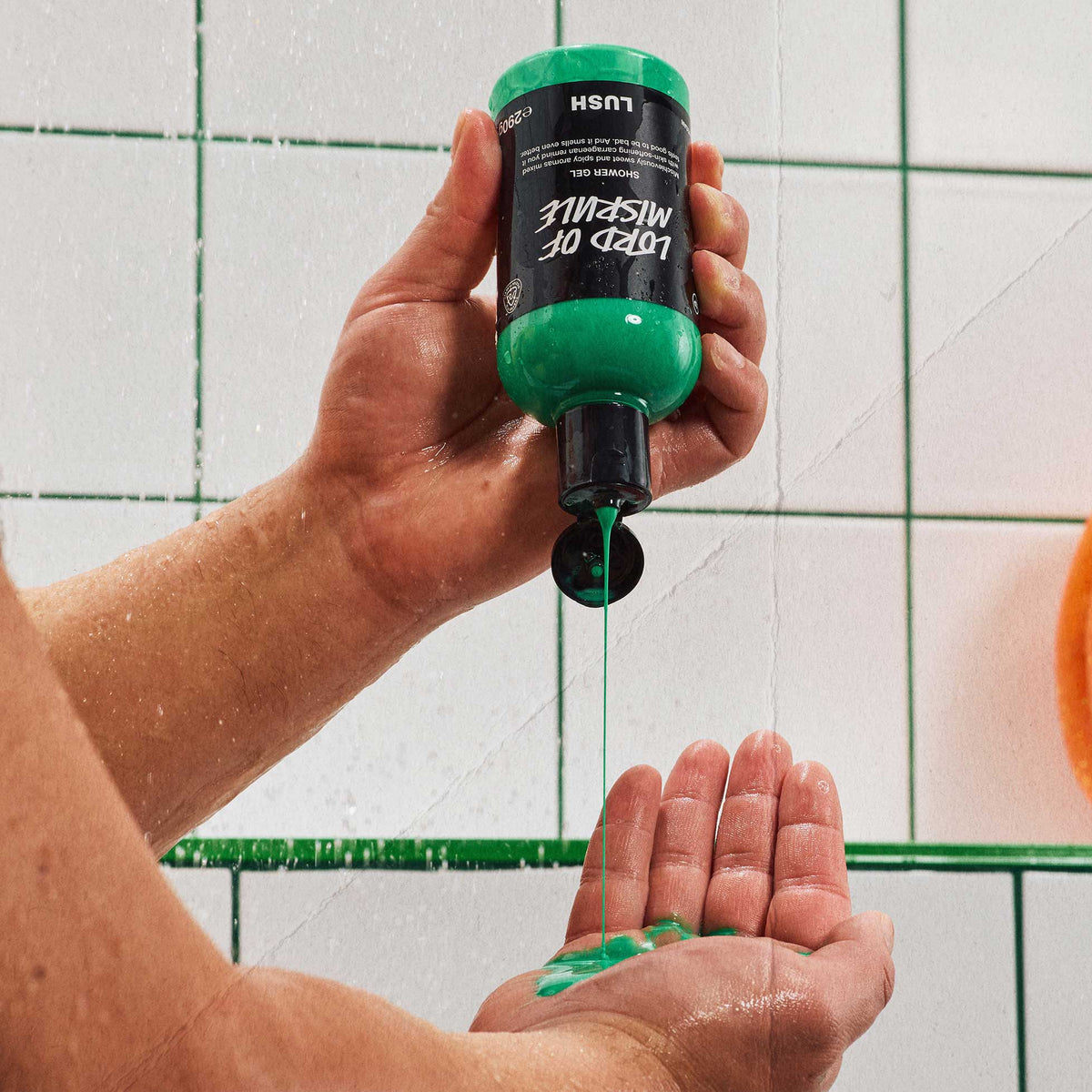 Lord Of Misrule