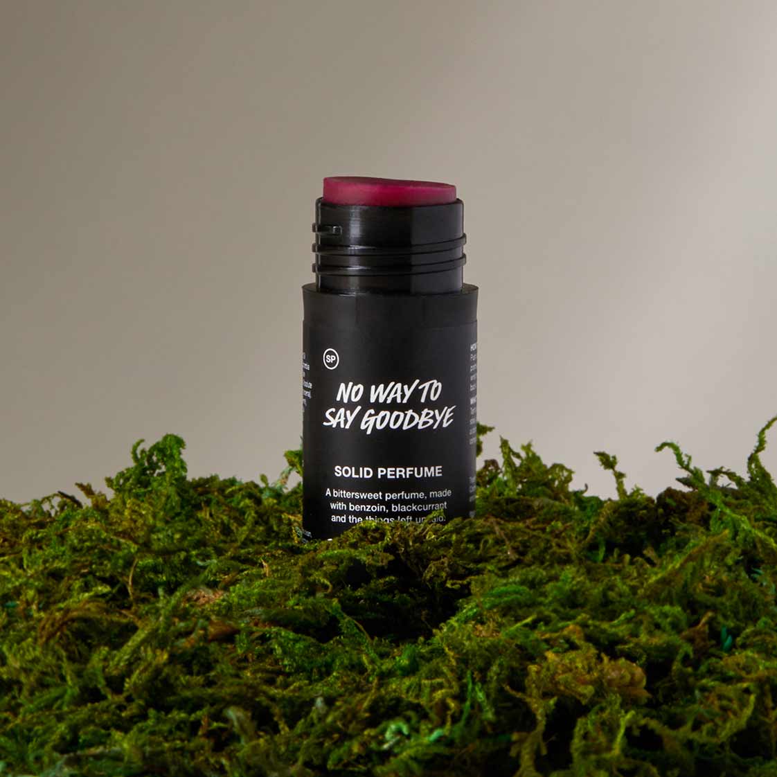 No Way To Say Goodbye