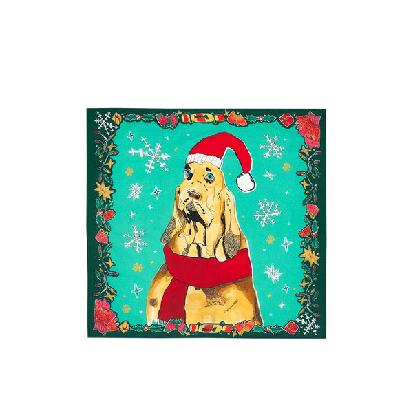 Noel